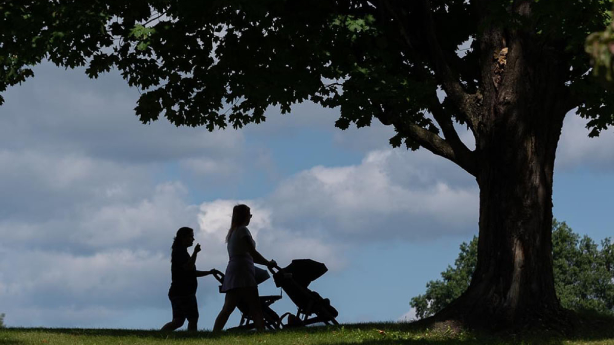 Stroll in the Park © Marc St. Onge