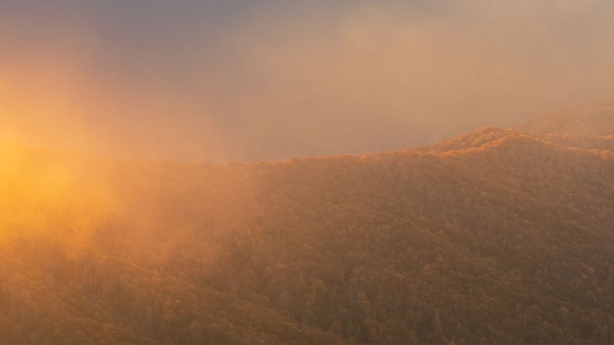 Sunrise 2 © 2022 Rosemary Polletta