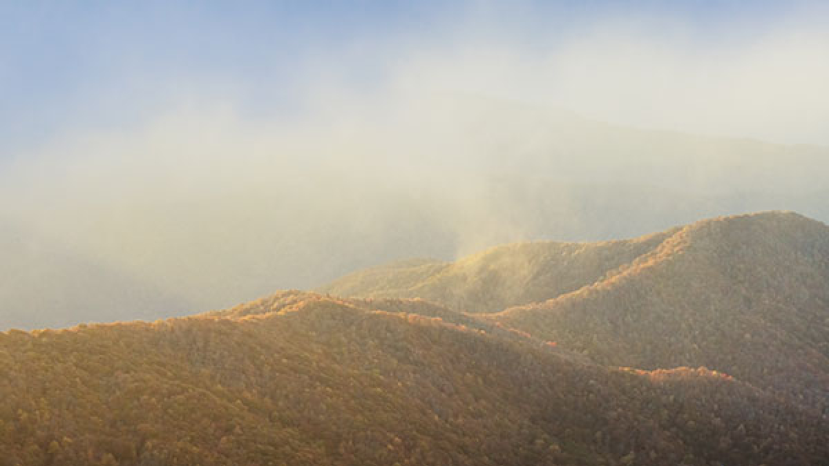 Sunrise 3 © 2022 Rosemary Polletta