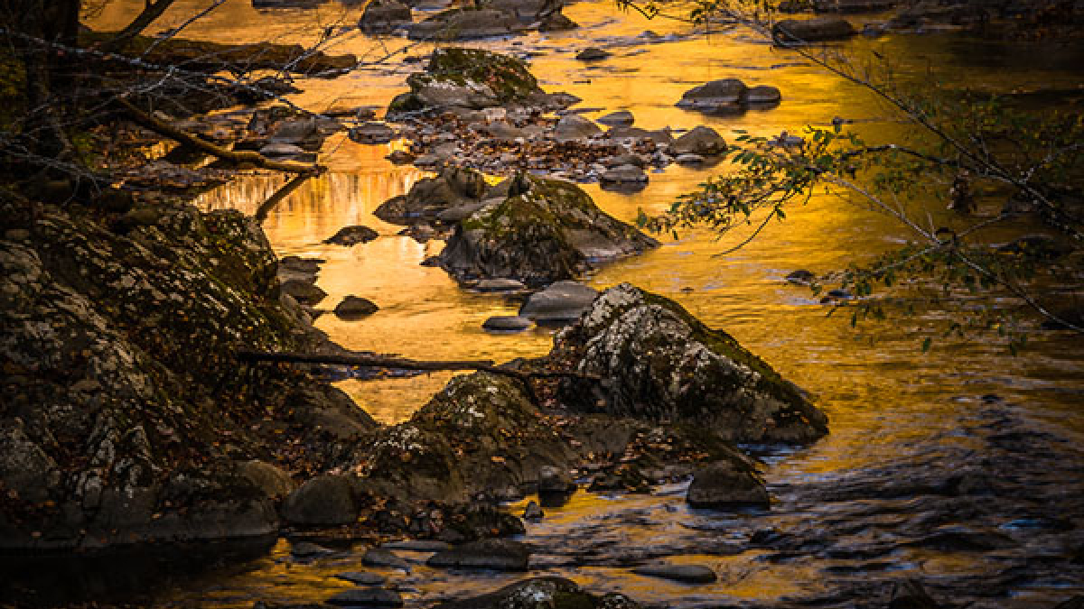 Sun Reflection © Rosemary Polletta