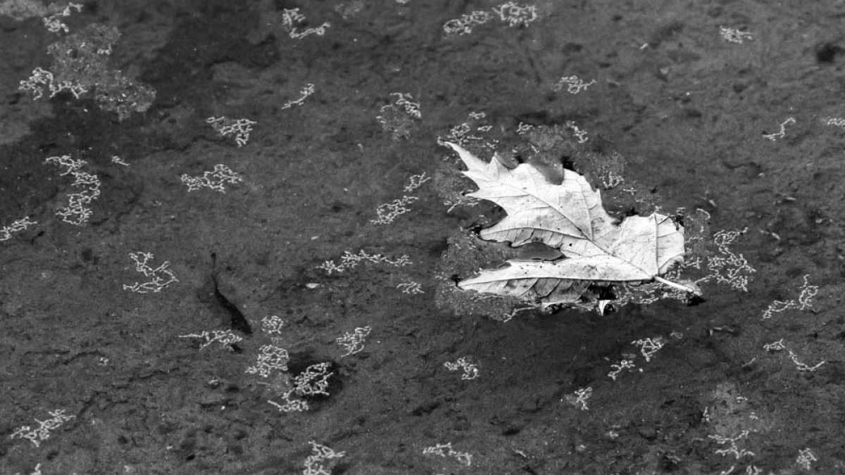 Floating © MJ Tassh