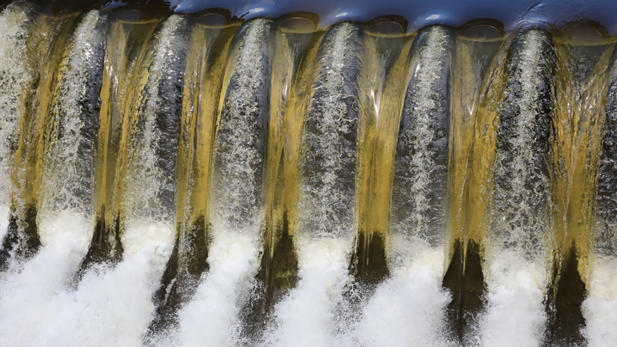 Golden Monroe © Mary Jeanne Tash, 2918