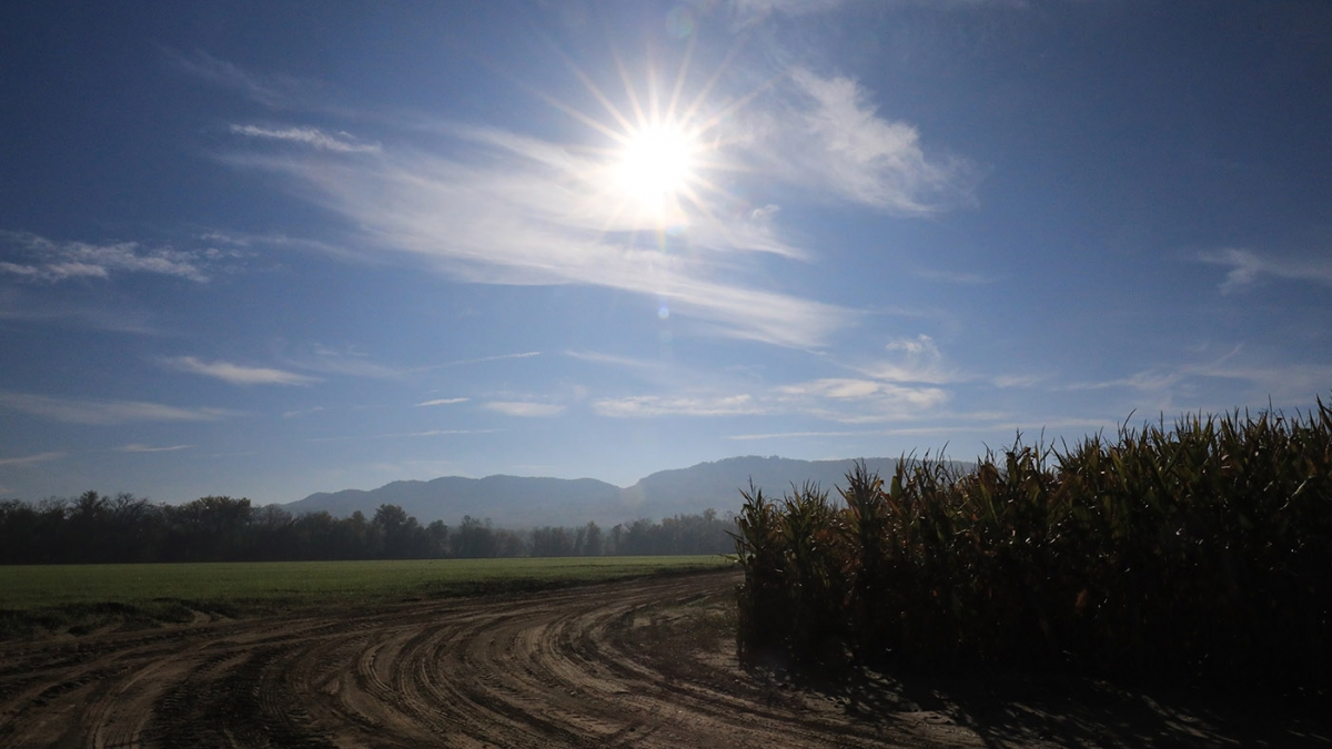 The Right Turn © Mary Jeanne Tash, 2018