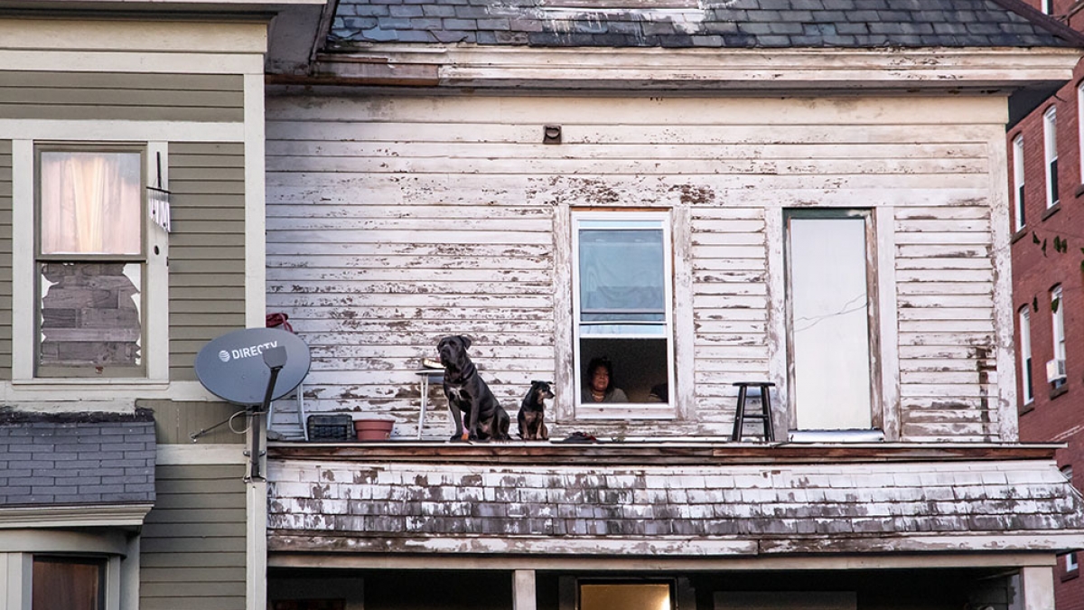 Watching © 2019 Mary Jeanne Tash