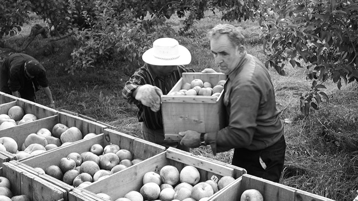 Tom Bashista loading atolls 1 © 2004 Robert Floyd