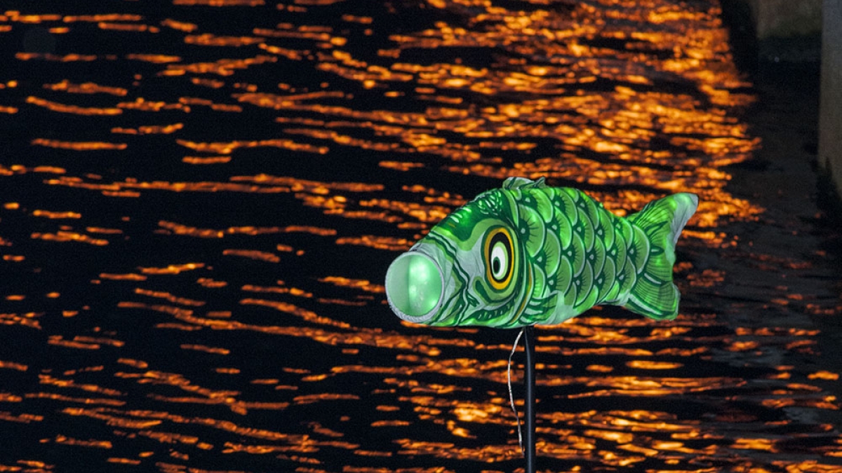 Green Fish on Kayak ©Robert Floyd, 2012