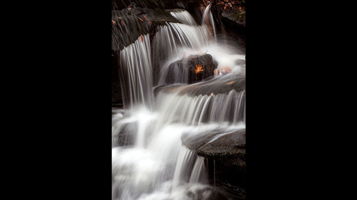 Waterfall © 2022 Steve Gingold