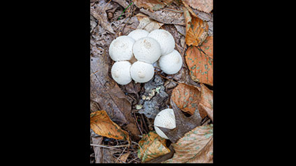 The Outcast © 2023 Vern Wells