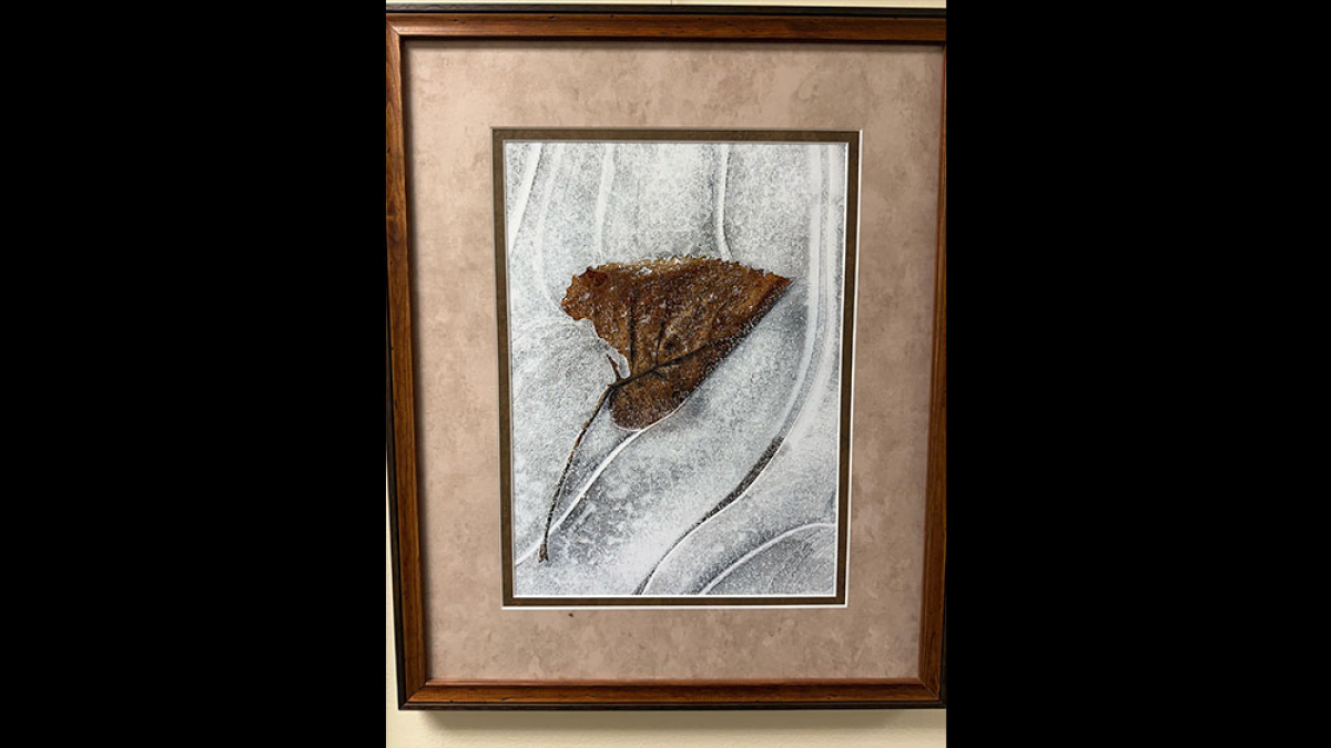 Trapped © Vern Wells