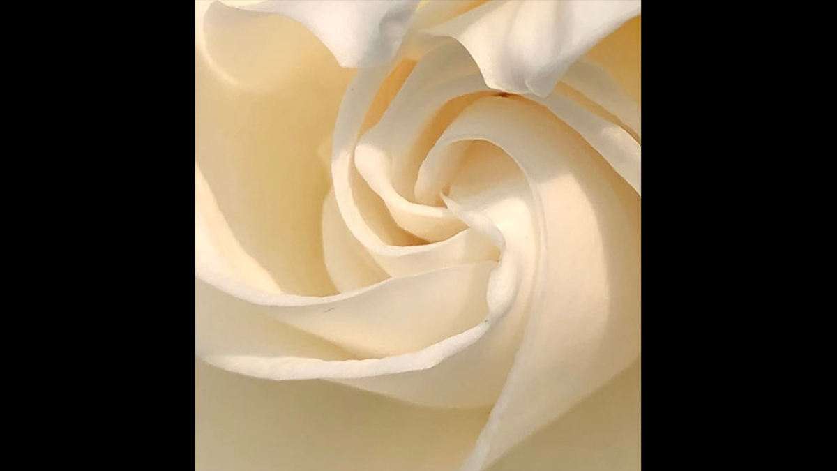 Galatic Spiral © Debbie Yaffee