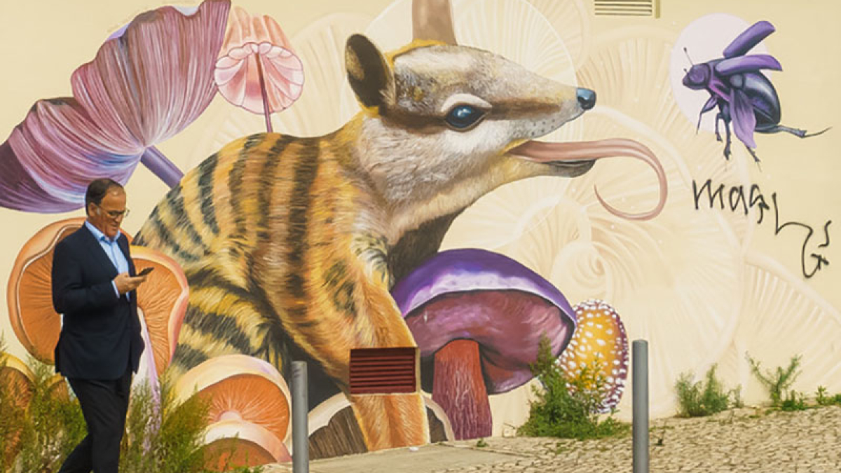 Bold Mural, Lisbon near Tagus River © Barry Farber