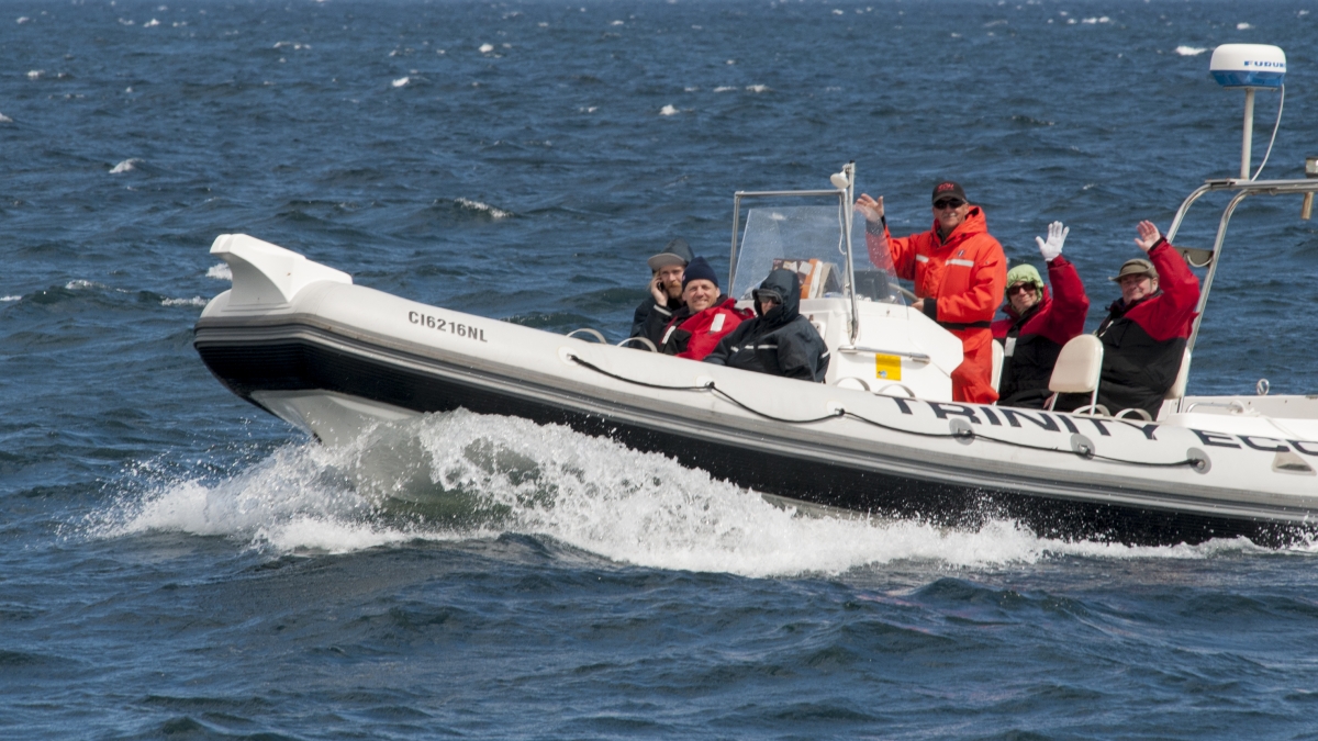 Whale Watch Zodiak, optional