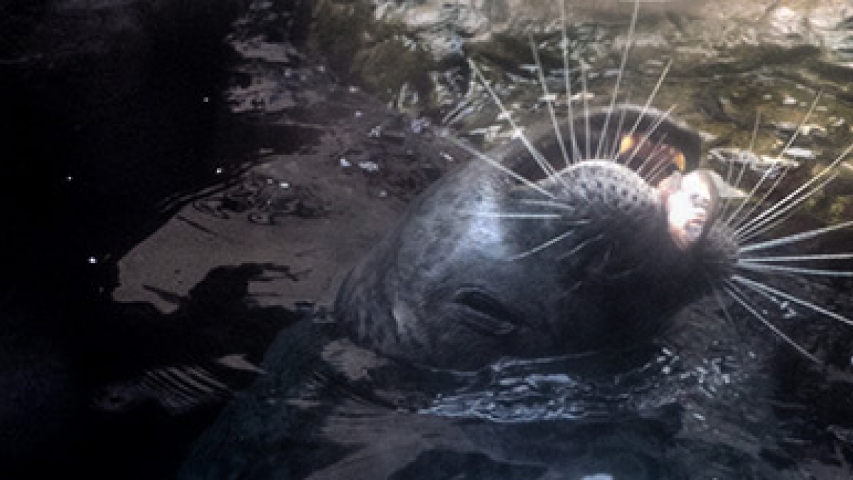 Sea Critter ©Robert Floyd, 2014