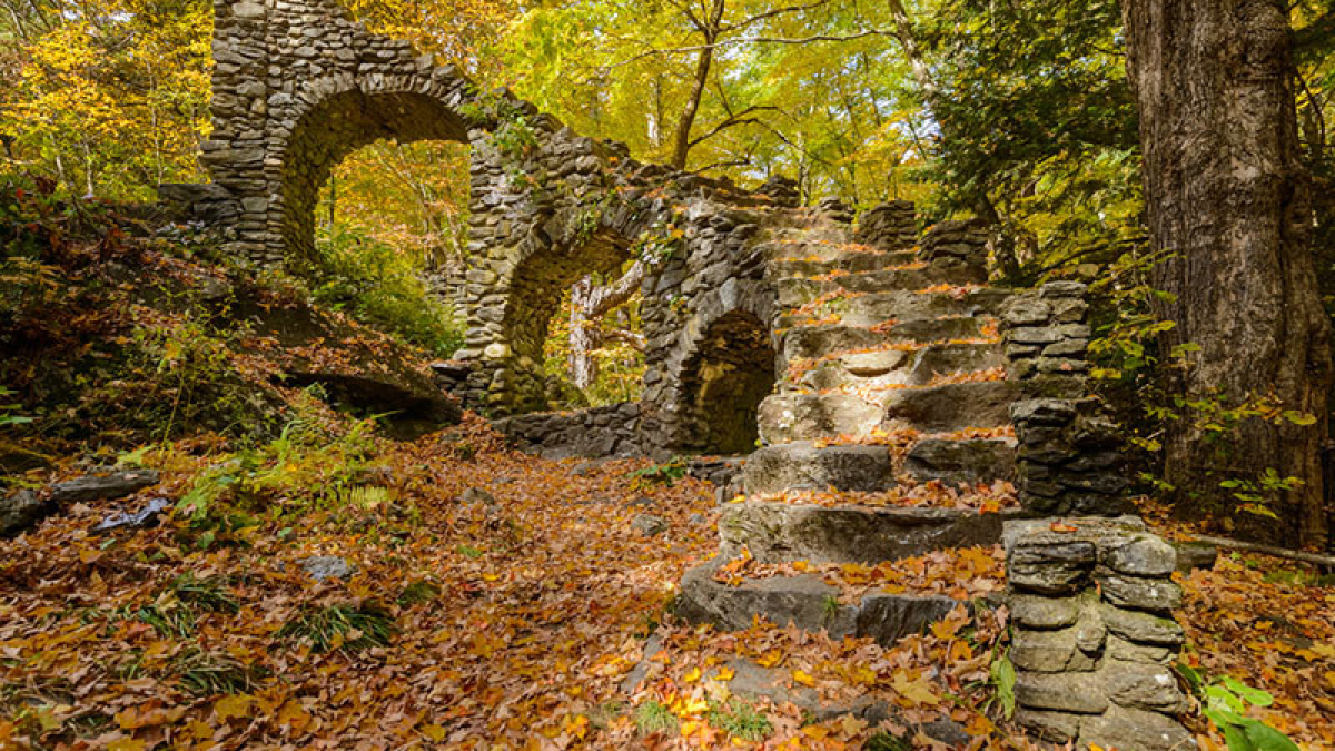 Before Image © 2022 Ed Judge