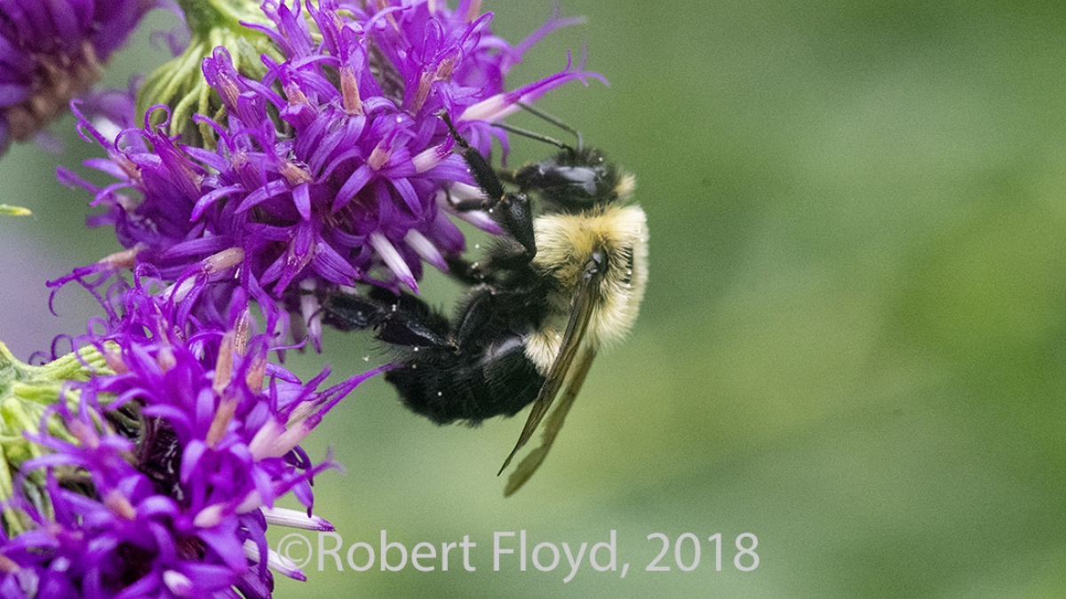 photo for Conversations that heal… page