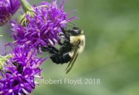 photo for Conversations that heal…