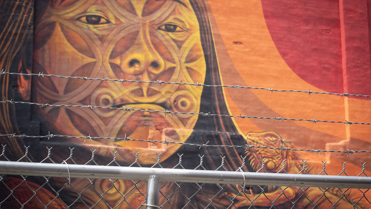 Iguana-boina by Rafique © 2023 Robert Floyd