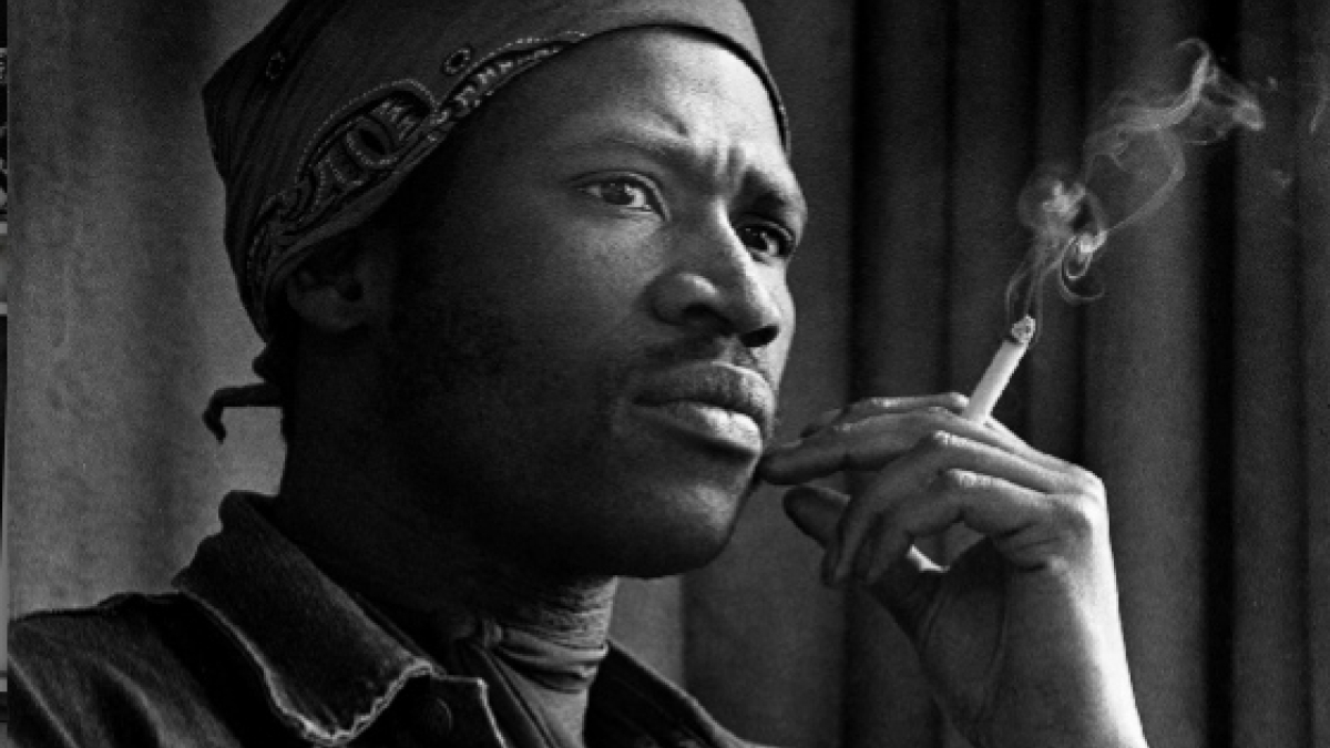 Taj Mahal © 1970 Barrie Wentzell