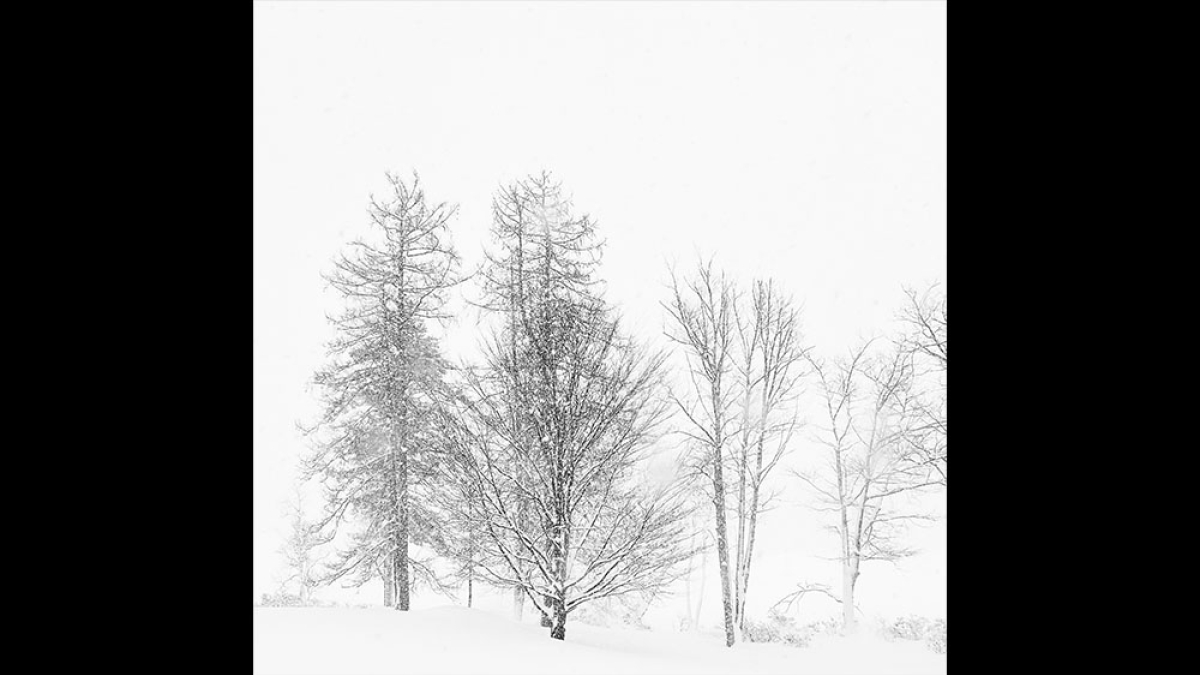 bare © 2023 Dan Milberg