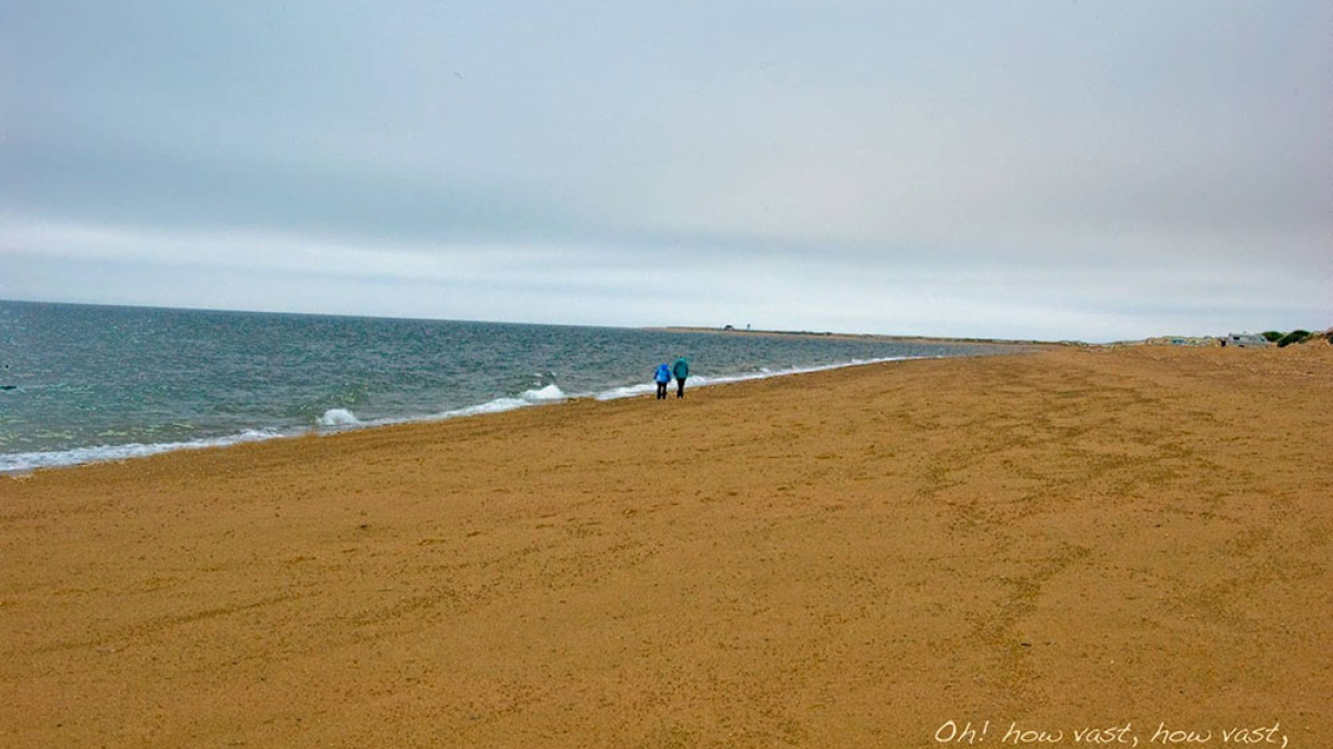 Cape Cod, Off Season 2 © Julius Lester only $300