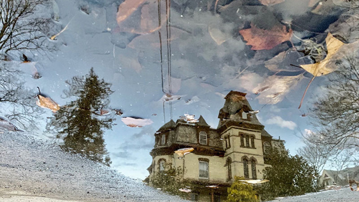 Leafy mansion © 2022 Dave Madeloni