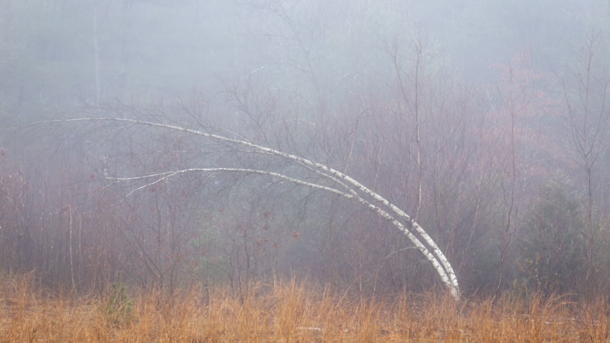 Fantasy 3 ©Karen Lemoine, 2018