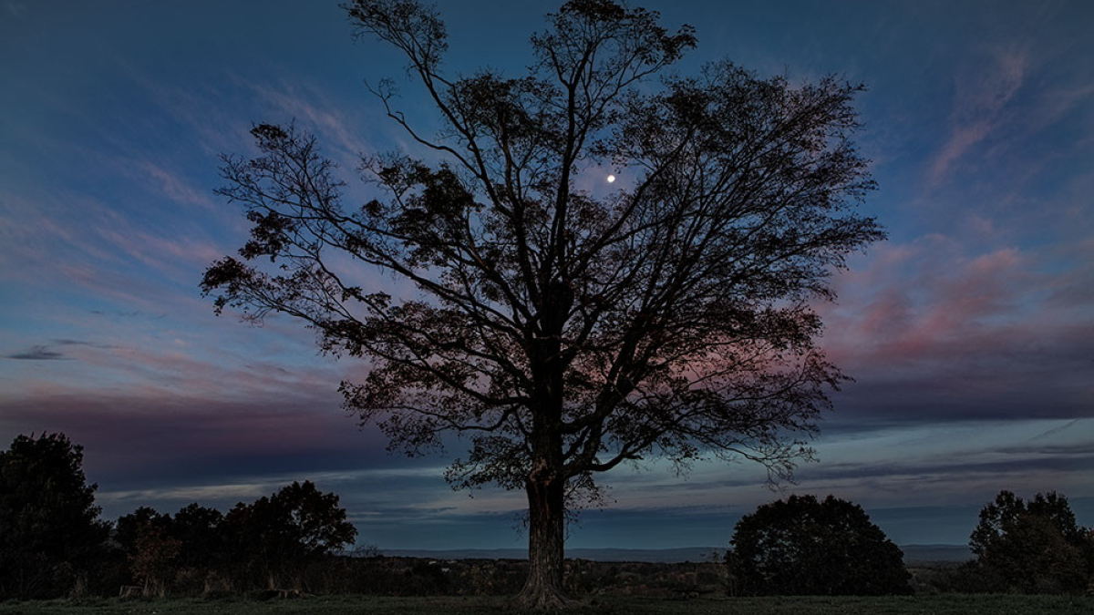 Full Hunters Moon from Mount Pollux © 2018 Steve Gingold