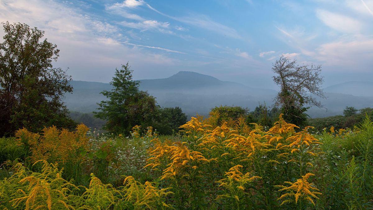 Mount Norwottuck in Fog from Mount Pollux © 2020 Steve Gingold