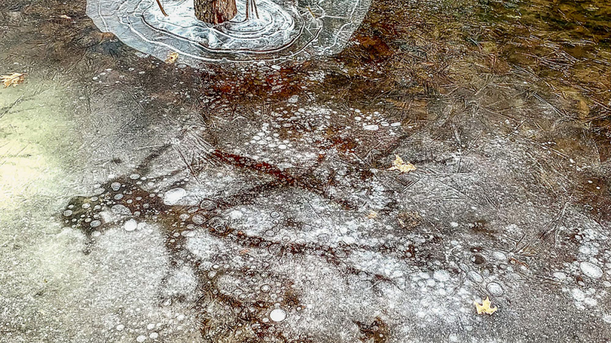 ice sculpture © 2023 Dsn Milberg