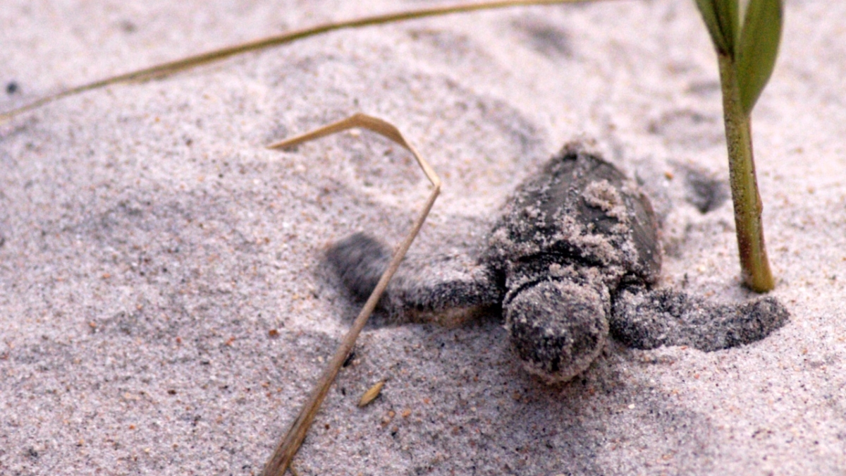 photo for Everything but the truth in photographs… page