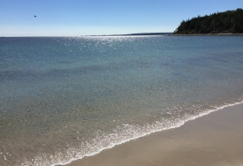 photo for Taste of Silence