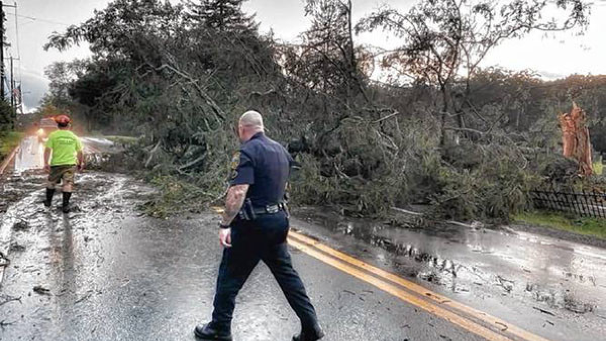 Officer at Storm Downed Tree © 2021 Robert Floyd