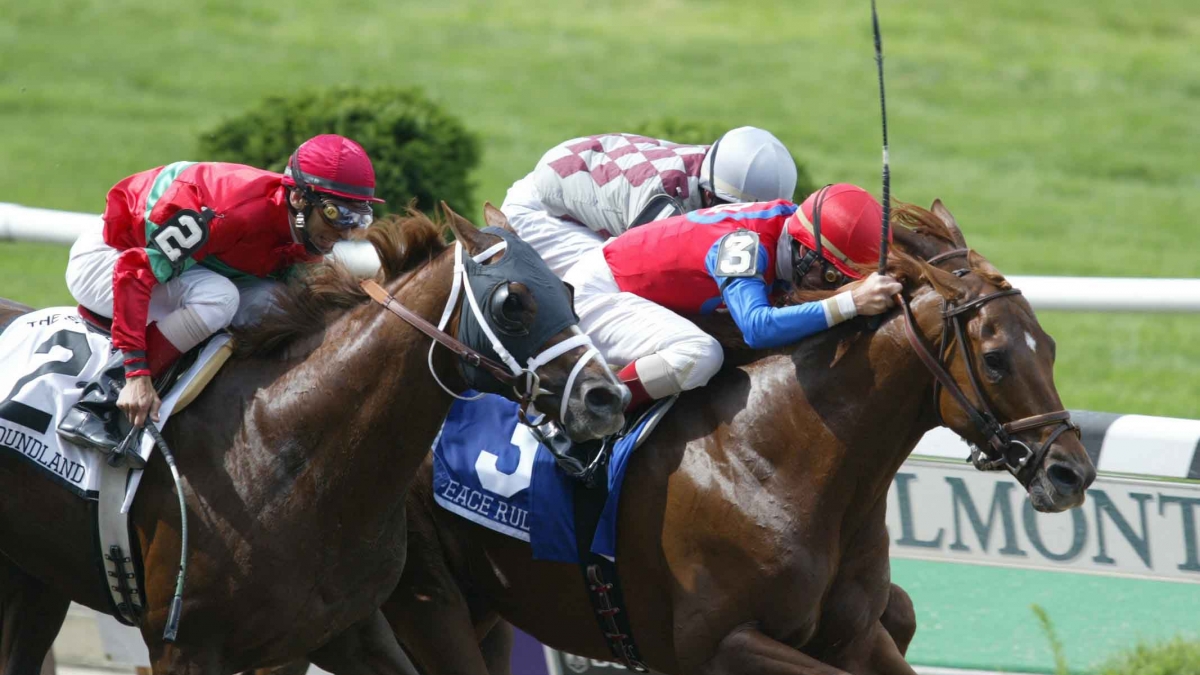 Peace Rules with Jerry Bailey up wins the 2004 Suburban at Belmont Park. Newfoundlound was second by Vincent Dusovic