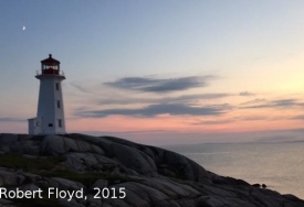 photo for Unexpected Consequences