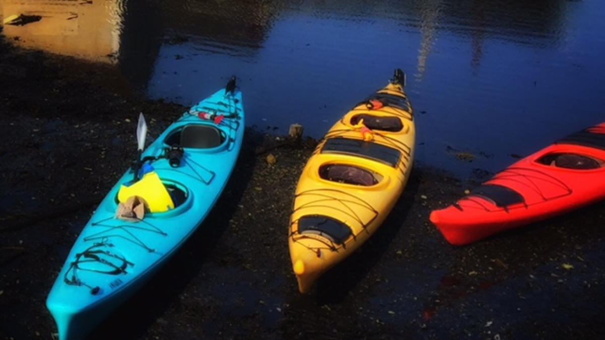 photo for Persistence page