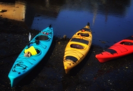 photo for Persistence