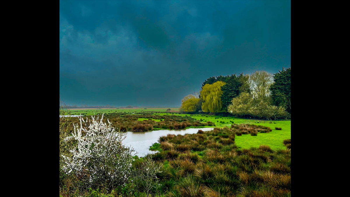 storm meadow xg 2023 Dan Milberg