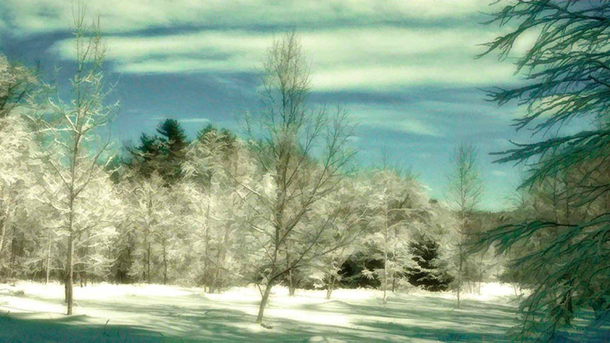 SOLD When the storm passes... © Julius Lester  (Photo Poem) only $300