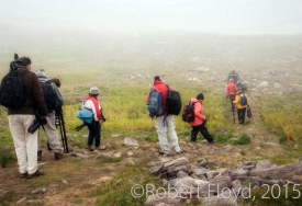 photo for The Road Less travelled - Western Newfoundland