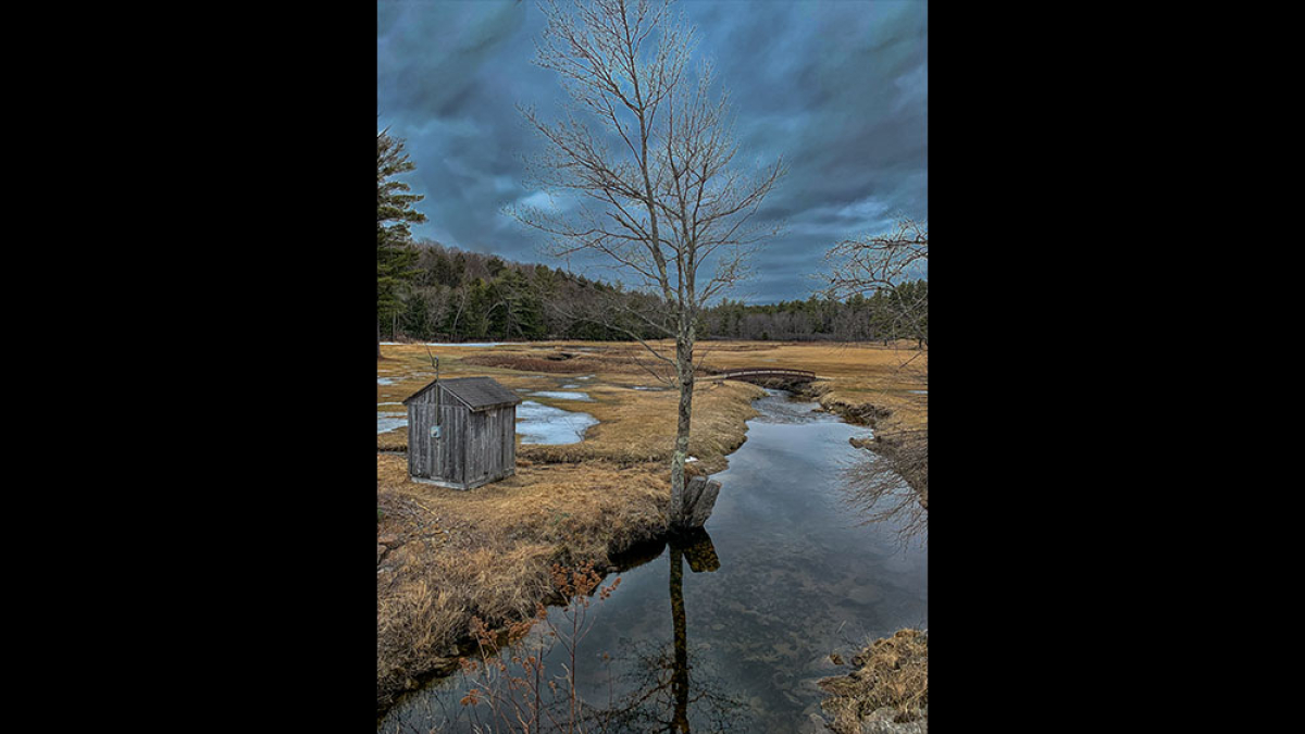 the shack © Dan Milberg
