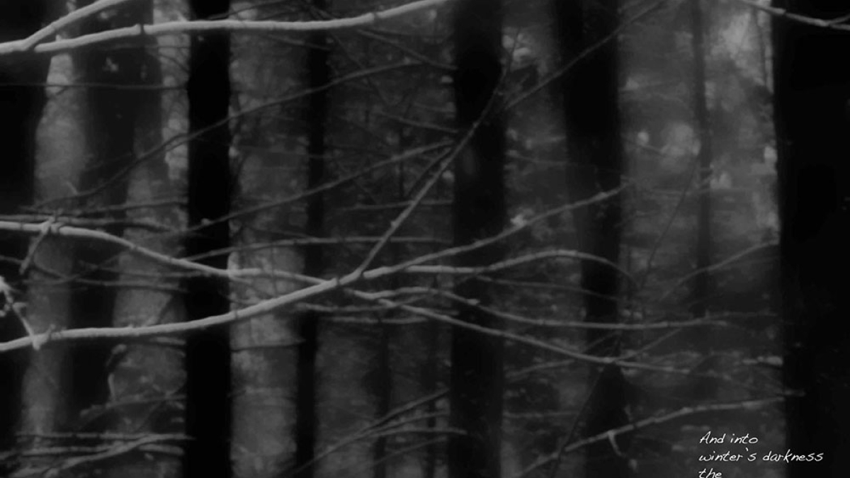 Winter's darkness © Julius Lester (Photo Poem) only $300