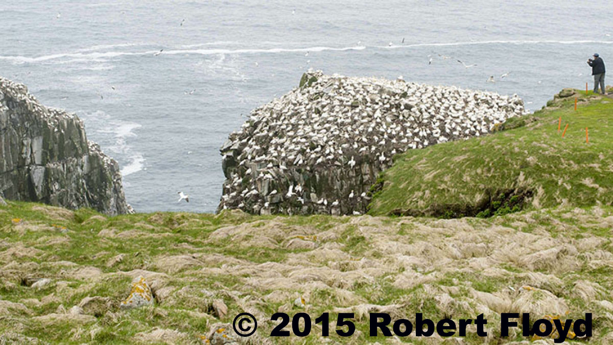 Floyd Learning Center at Cape St. Mary's Ecological Preserve, Newfoundland © 2015 Robert Floyd
